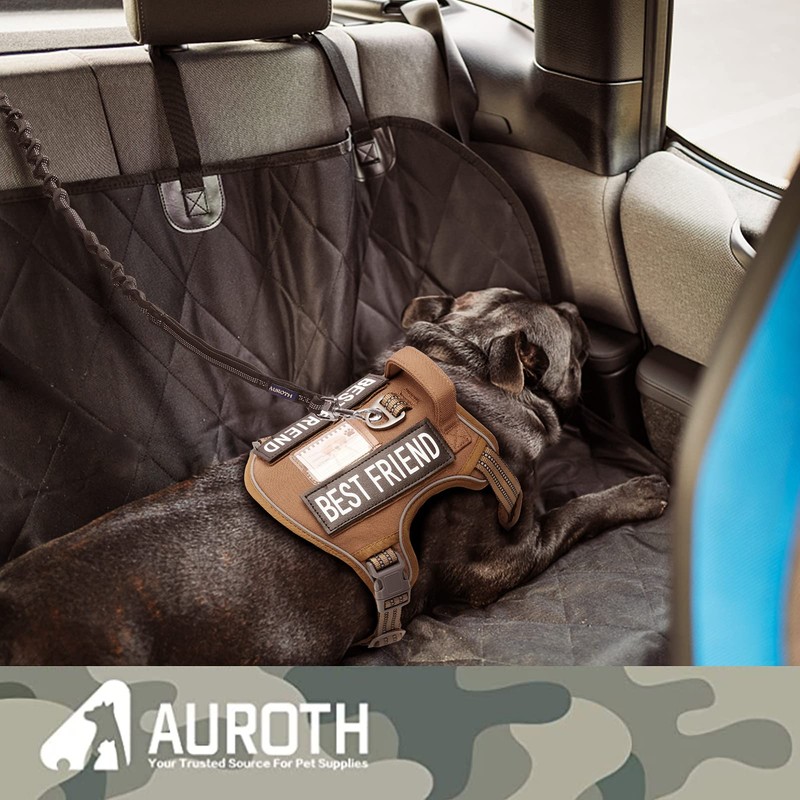 AUROTH Heavy Duty Bungee Dog Leash for Medium Large Breed