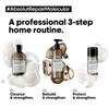 Serie Expert Absolut Repair Molecular Rinsing Mask for All Damaged