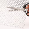 Dryer Vent Grill Dryer Vent Screen with Aluminum Built Bird