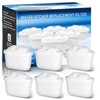 Water Filter Cartridges for Drinking Water Jug: Pack of 6