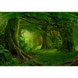 SIGNWIN Wall Mural Forest Removable Self-Adhesive Wallpaper Wall Decoration for Bedroom Living Room - 66x96 inches