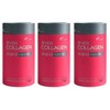 Nutri Ever Collagen Time Biotin Up 30 packets x 3 / 에버콜라겐 타임 비오틴 업 30포 x 3개