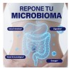 Probióticos, Prebióticos, Postbióticos y Enzimas Digestivas | Fórmula Avanzada para