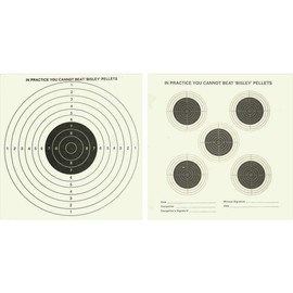 Bisley 100 Double Sided Airgun Targets 17cm (6.75") Card Airgun Targets Air Rifle Pistol Hunting Practice Zero