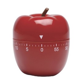 Lux CP2428-88 Mechanical Teacher Timer