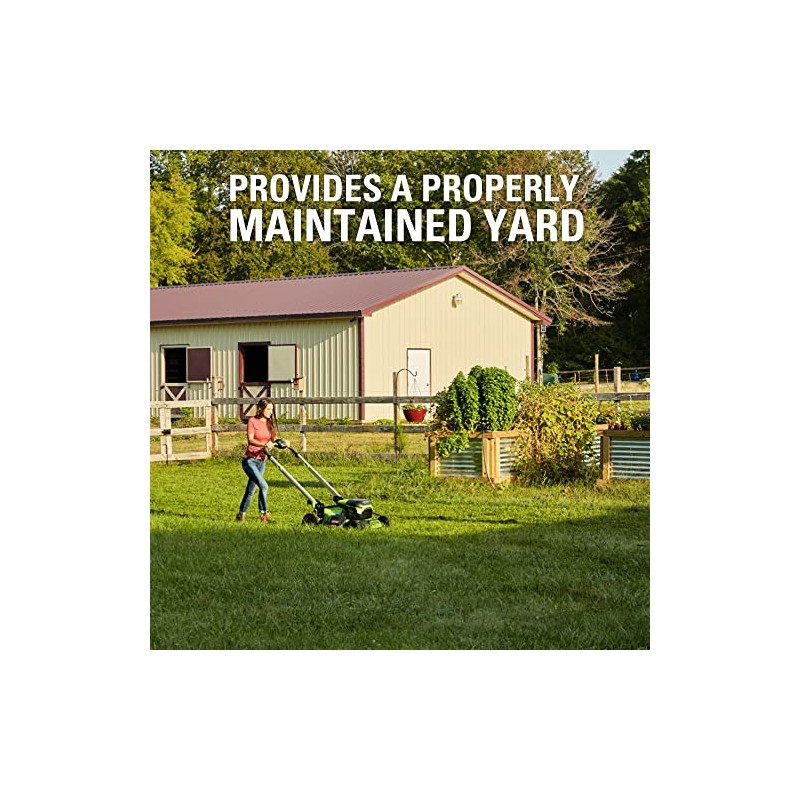Greenworks 19-Inch Replacement Lawn Mower Blade 29373