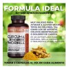 Cúrcuma Jengibre Y Moringa Prettan Suplemento 600mg 90 Caps