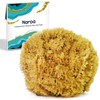 Esponja de mar natural Naroa XL – Exfoliante corporal ecológico