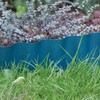 Garden Lawn Edging Green Plastic Wave Landscape Edging Flower Bed