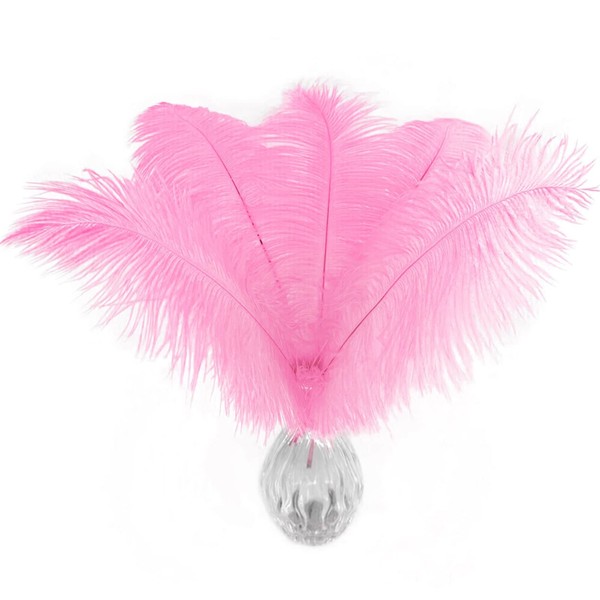 Piokio 10 pcs Pink Ostrich Feather Plumes 10-12 inch(25-30 cm)