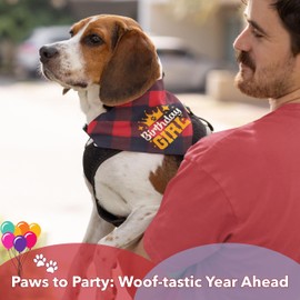 Odi Style Dog Birthday Bandana Girl - Dog Birthday Outfit for Large, Medium, Small Dogs, Bandana for Dogs Puppy Birthday Party, Girl Dog Happy Birthday Bandana, Buffalo Plaid Pet Scarf,Red