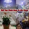 Grow Light Bulbs Full Spectrum with Red Blue 5000K E12