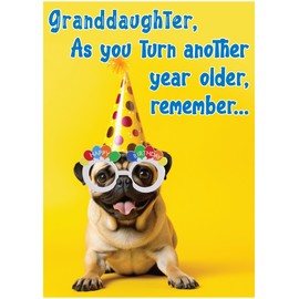 Glory To Dog Granddaughter, As You Turn Another Year Older, Remember Anything's Paws-ible No Matter Your Age! Happy Birthday Card with Greeting Card Mailing Envelope