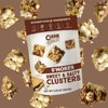 Chunk Nibbles S'Mores Snack Clusters | 3 Pack | 4.25oz