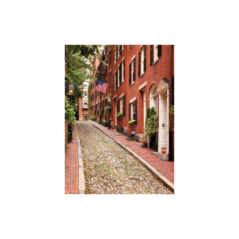 Puzzle: Beacon Hill Boston