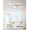 DAMINY 52 inch Ceiling Fans with Lights,5 Blades,6CCT, Remote Control