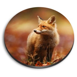 1 x Round MDF Magnet - Cute Ginger Fox Autumn Wildlife 8116