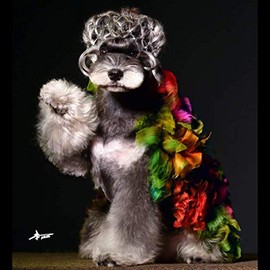 Opawz Dog Hair Dye, Hot Red, 4-Ounce (113g)