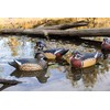 Flambeau Outdoors 8018SUV Storm Front 2 Wood Duck Decoys, Classic