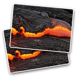 Rectangle Stickers(Set of 2) 7.5cm - Watching Owl Wildlife Tree Forest Bird Fun Decals for Laptops,Tablets,Luggage,Scrap Booking,Fridges, #46409