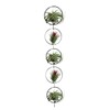 SCSFCVIUS Air Plant Hanging Holder Planter - Plant Hanger Display