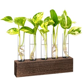 KAXYEW Desktop Glass Plant Propagation Station Test Tube Plant Terrarium in Wooden Stand for Hydroponic Plants Cutting Office Home Decoration Gift for Women (5 Test Tubes-BR)