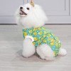 CuteBone Dog Surgery Recovery Suit Cat Surgical Onesie Female Body