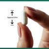 Life & Pursuits Pure Magnesium Citrate 775 mg – 120