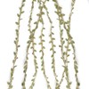 tenn well 2 Rolls Leaf Ribbon, 66 Feet Green Ribbon