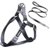 AIITLE No Pull Small Dog Harness and Leash Set -