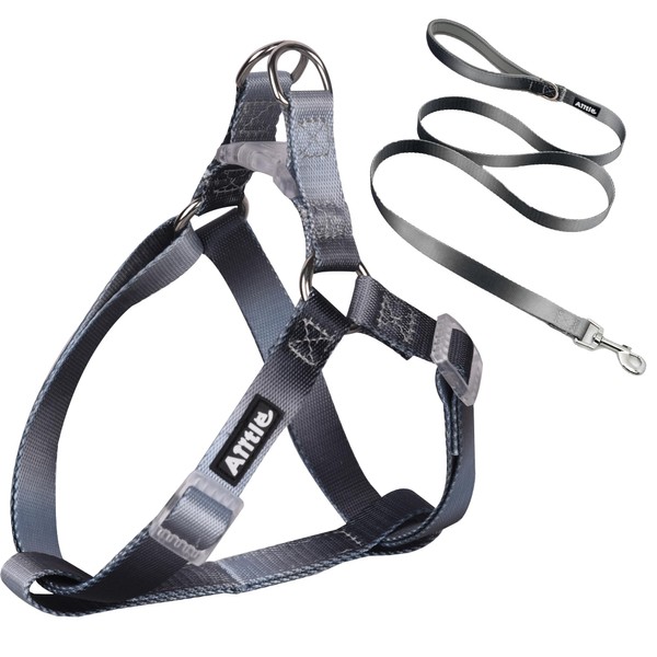 AIITLE No Pull Small Dog Harness and Leash Set -