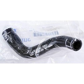 Genuine GM Hose Part# 55583807