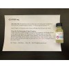 Saint Peregrine Holy Relic Oil (Devotional Oil Touched to Relic