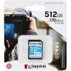 Kingston Canvas Go Plus SD Memory Card V30 Class 10