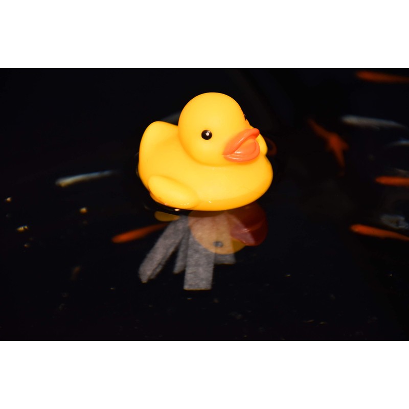 Evaris Medaka Spawning Skirt Duck