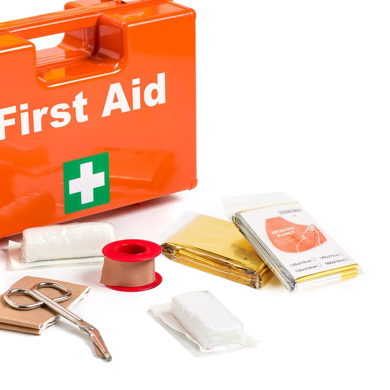 Bramble - 10 Large Multi-Purpose Insulated Foil Emergency Blankets Individually