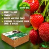 Organic 11 lb Compressed Coco peat Block is a high-Performance,