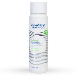 Seaweed Bath Co. Balance Shampoo - Eucalyptus Peppermint - Hydrating Daily Shampoo with Vitamin E, Argan Oil, Coconut Oil - For Normal to Oily Hair - 12 oz