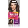 Cameleo - Coloring Shampoo - Dark Brown - Quick and