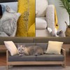 Chuangseed 6" x 20Yds Transparent Cat Scratch Deterrent Tape -