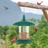 Bird Feeder for Outdoors - 360° Feeding Perch. Green