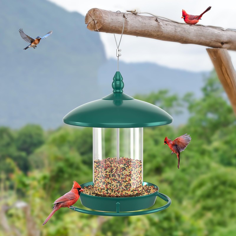 Bird Feeder for Outdoors - 360° Feeding Perch. Green