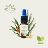 Aceite Capilar Ozonizado Romero Anti-caida De Cabello (10 ML)