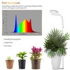 GLOWRIUM Grow Light with Stand,2-Head LED Plant Light for Indoor
