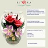Luxury Orchid Arrangement | Preserved Orchids in Glass Vase |