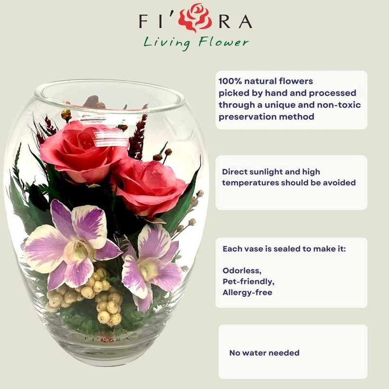 Luxury Orchid Arrangement | Preserved Orchids in Glass Vase |