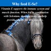 SU-PER E-Se Horses Antioxidant Supplement - Vitamin E & Selenium