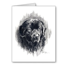 DJ Rogers Fine Art Newfoundland - Set of 10 Dog Note Cards With Envelopes