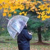 totes Clear Bubble Umbrella with Dome Canopy, Lightweight Design, Wind