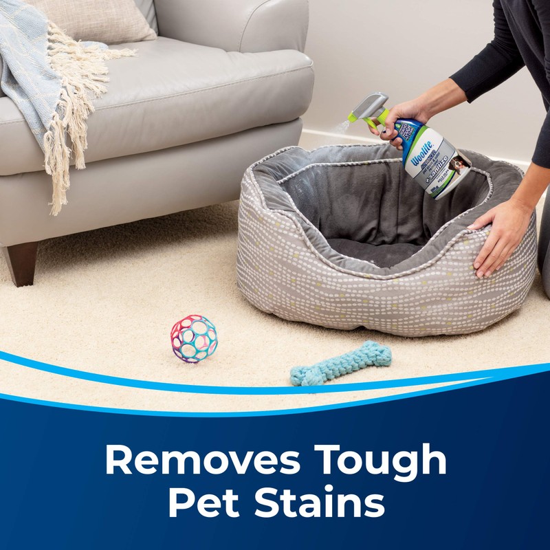 Woolite Advanced Pet Stain & Odor Remover + Sanitize, 11521
